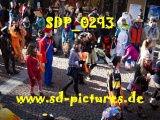 Tn SDP 0293