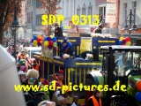Tn SDP 0313