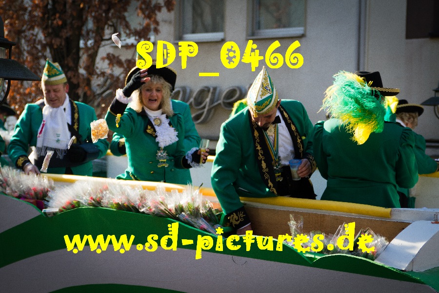 SDP 0466