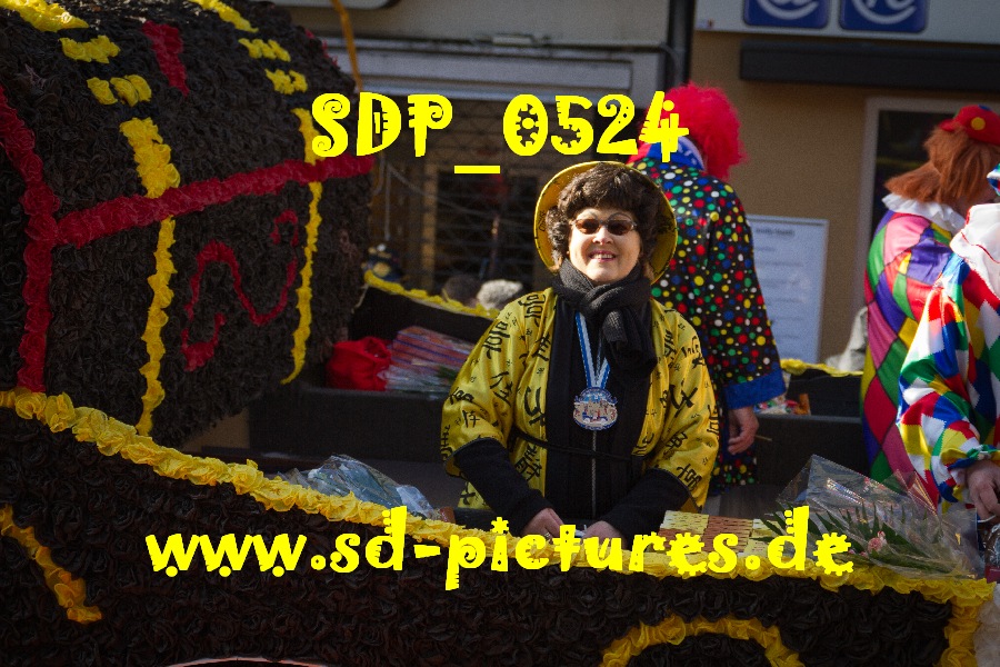 SDP 0524