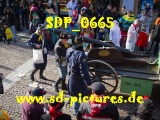 Tn SDP 0665