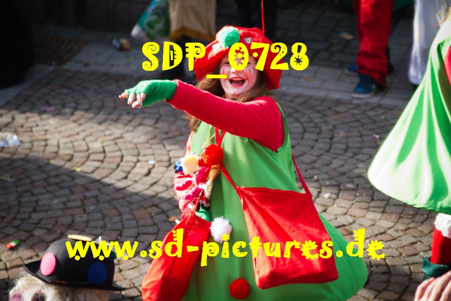 SDP 0728