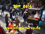Tn SDP 0816