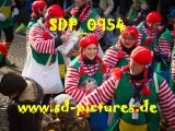 Tn SDP 0954