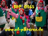 Tn SDP 0965
