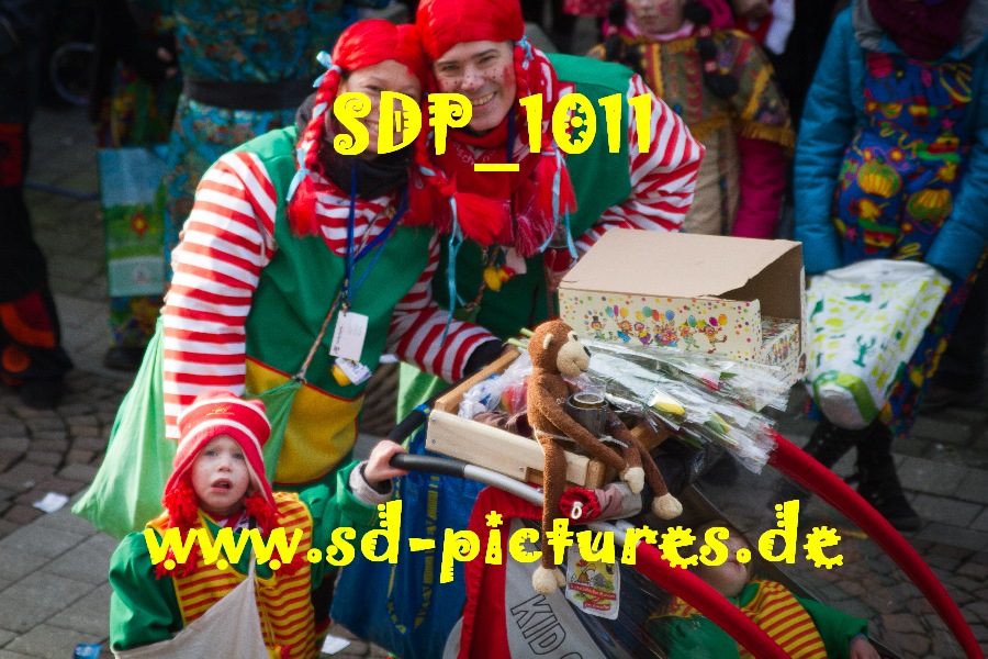 SDP 1011