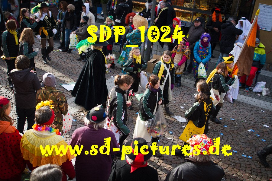 SDP 1024