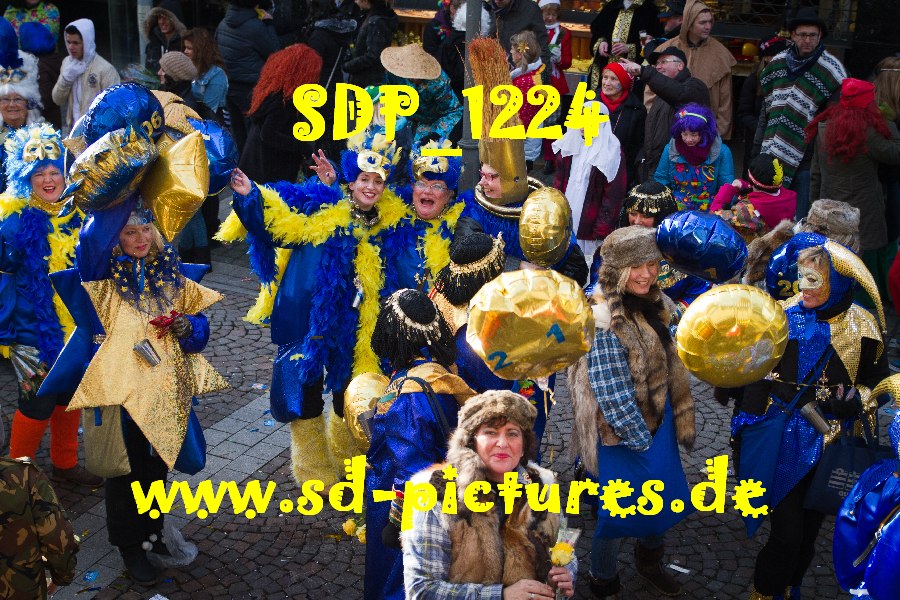 SDP 1224