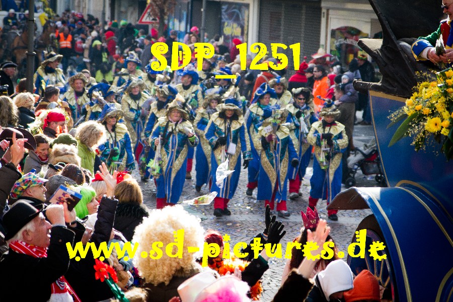 SDP 1251