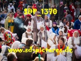 Tn SDP 1370