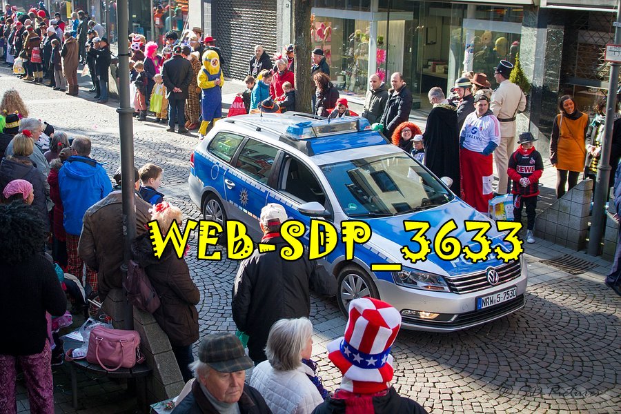 WEB SDP 3633