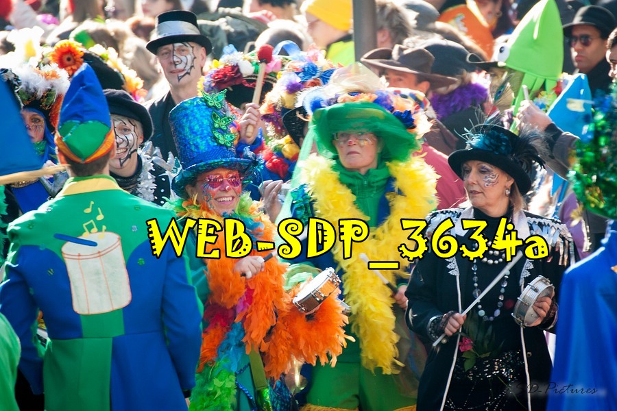 WEB SDP 3634a