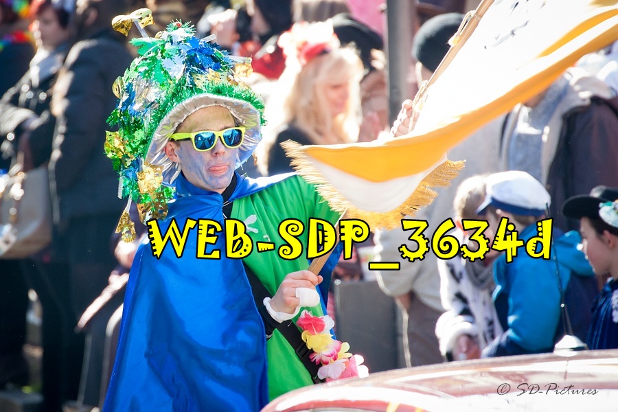 WEB SDP 3634d