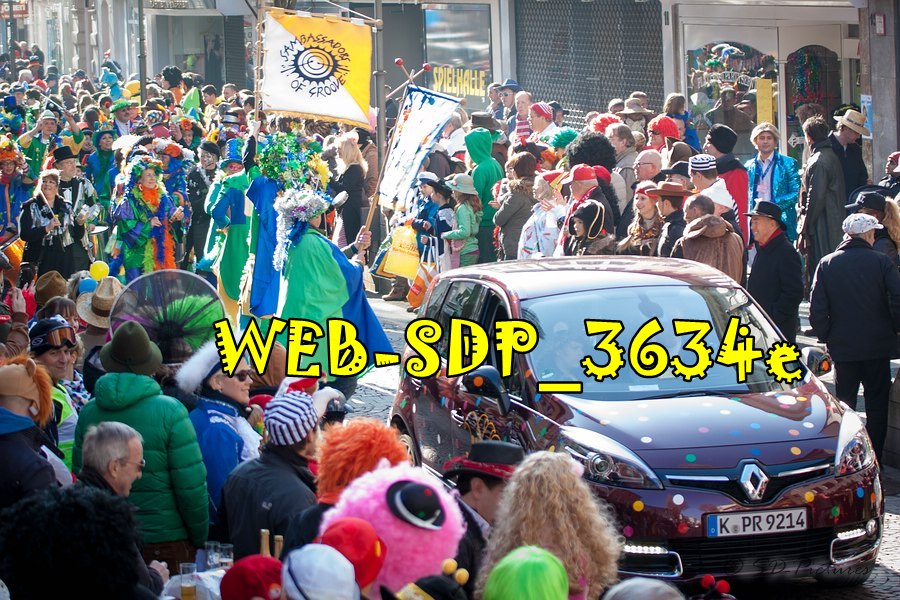 WEB SDP 3634e