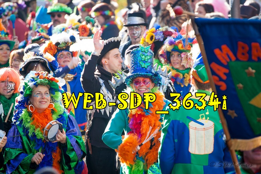 WEB SDP 3634i