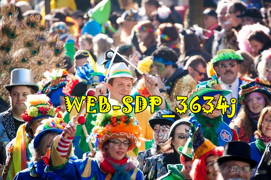 WEB SDP 3634j