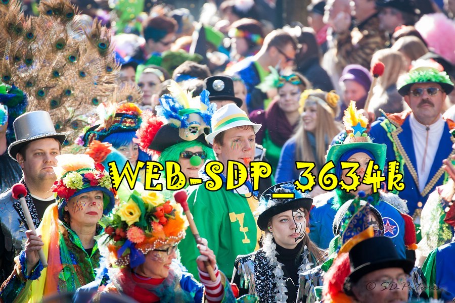WEB SDP 3634k