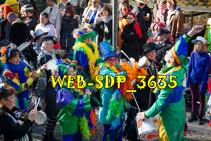 WEB SDP 3635