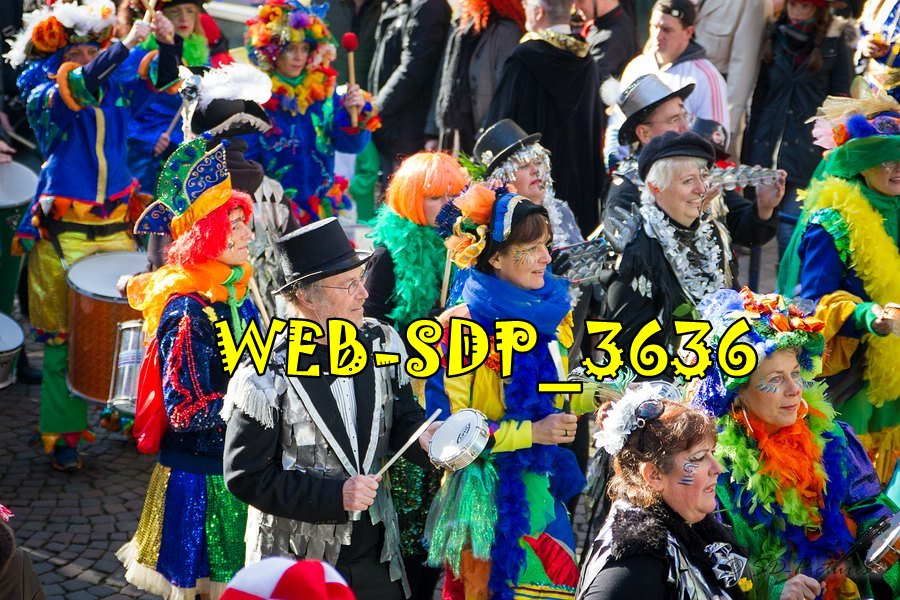 WEB SDP 3636