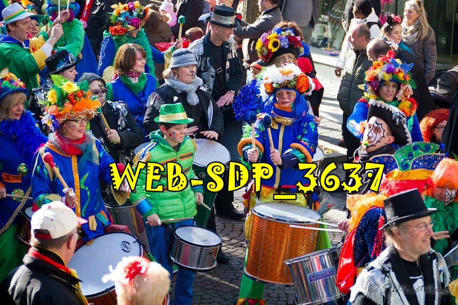 WEB SDP 3637