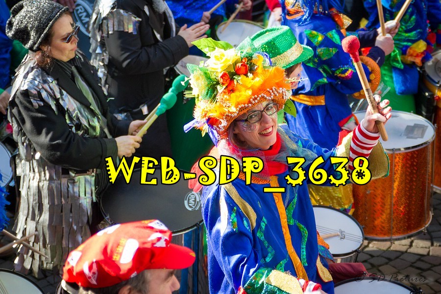 WEB SDP 3638