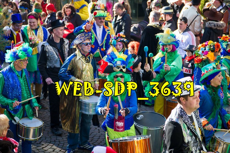 WEB SDP 3639