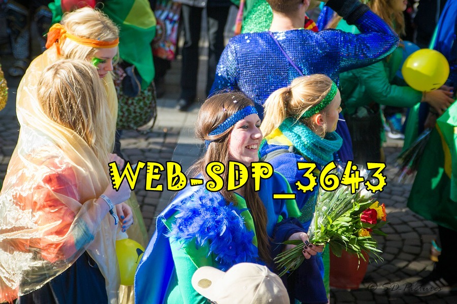 WEB SDP 3643