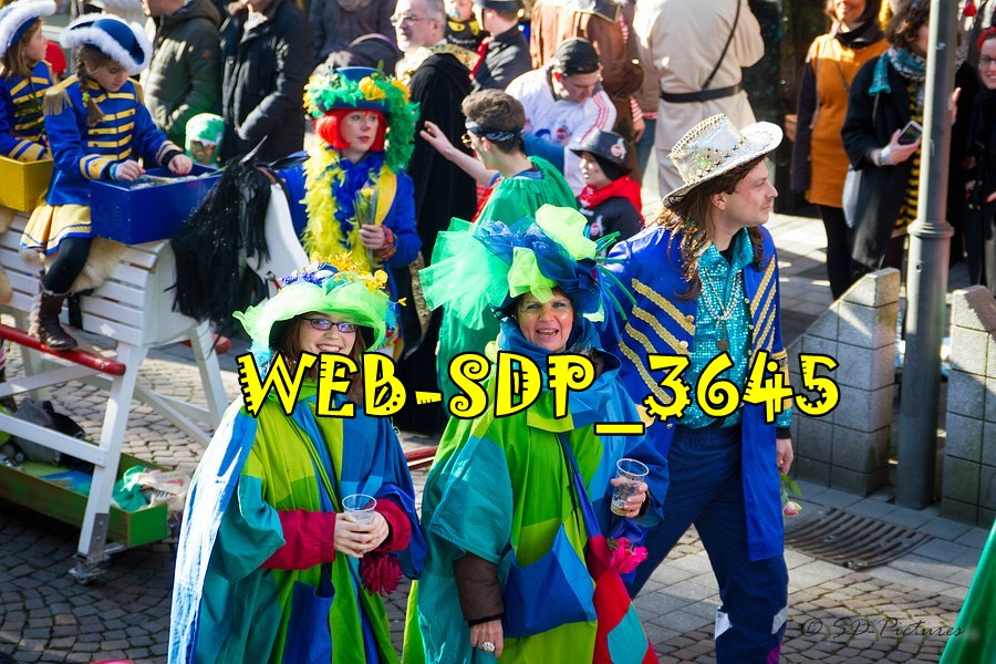 WEB SDP 3645