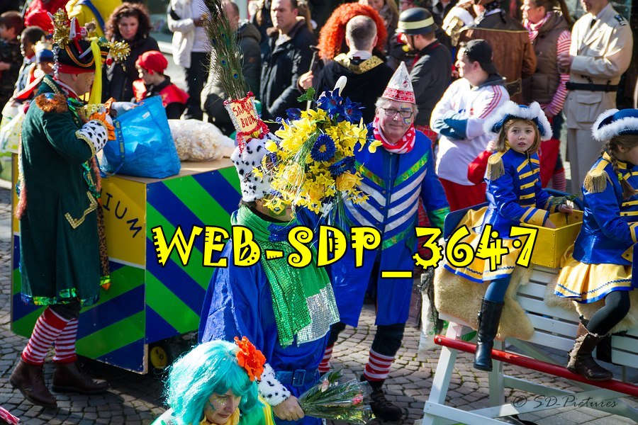 WEB SDP 3647