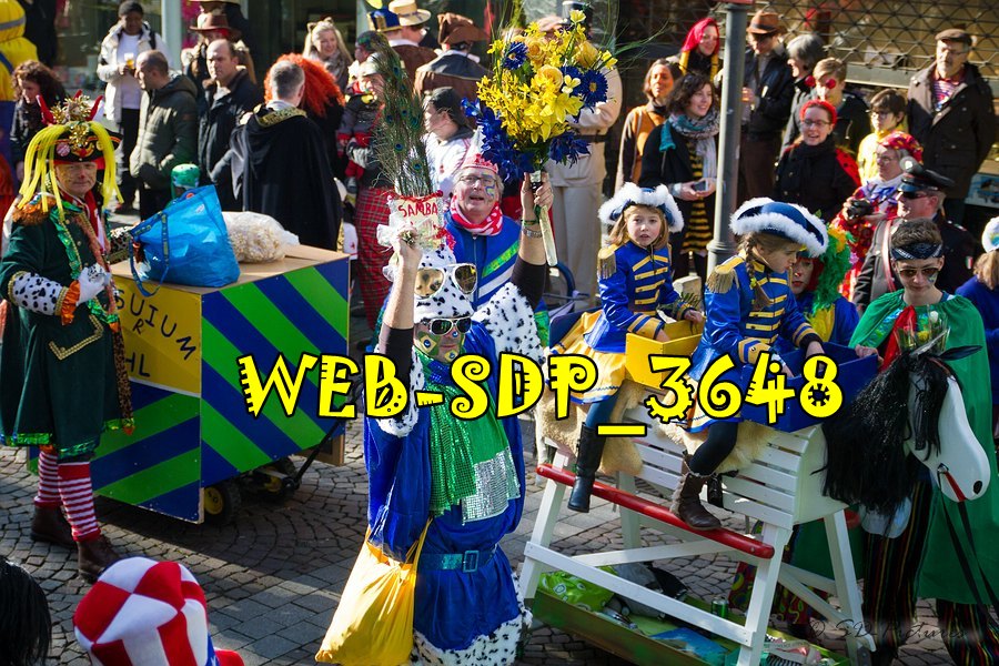WEB SDP 3648