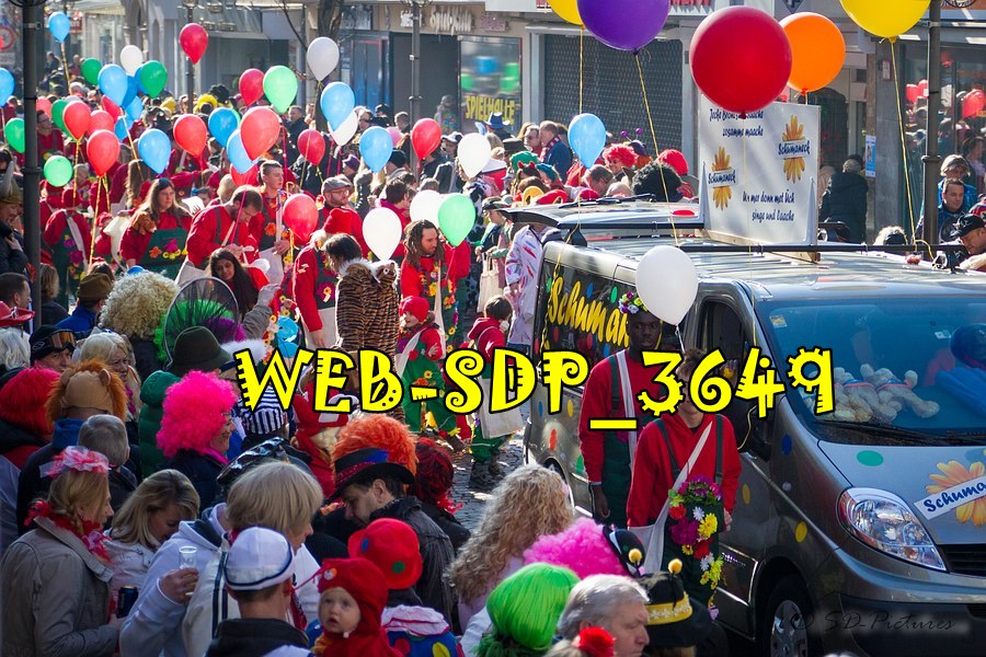 WEB SDP 3649