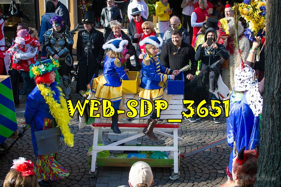 WEB SDP 3651