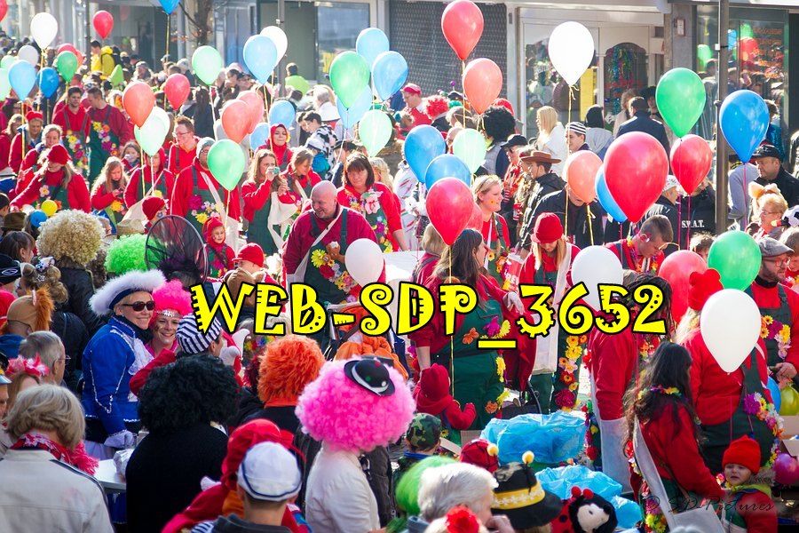 WEB SDP 3652