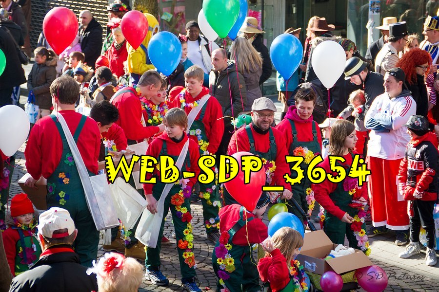 WEB SDP 3654