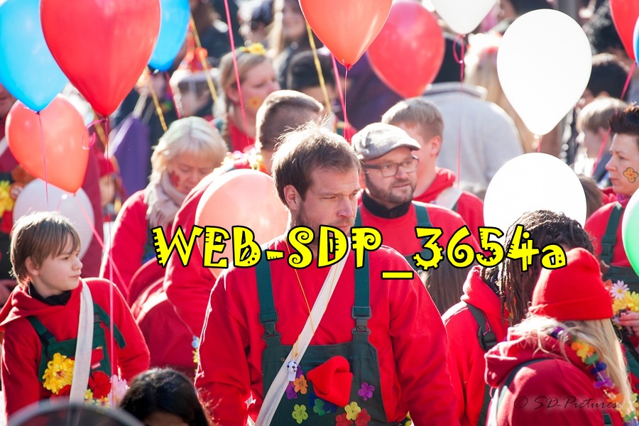 WEB SDP 3654a