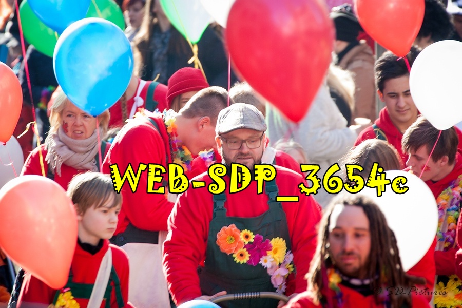 WEB SDP 3654c