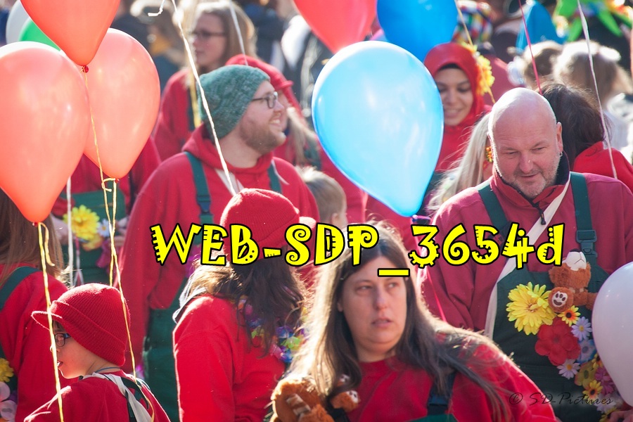 WEB SDP 3654d