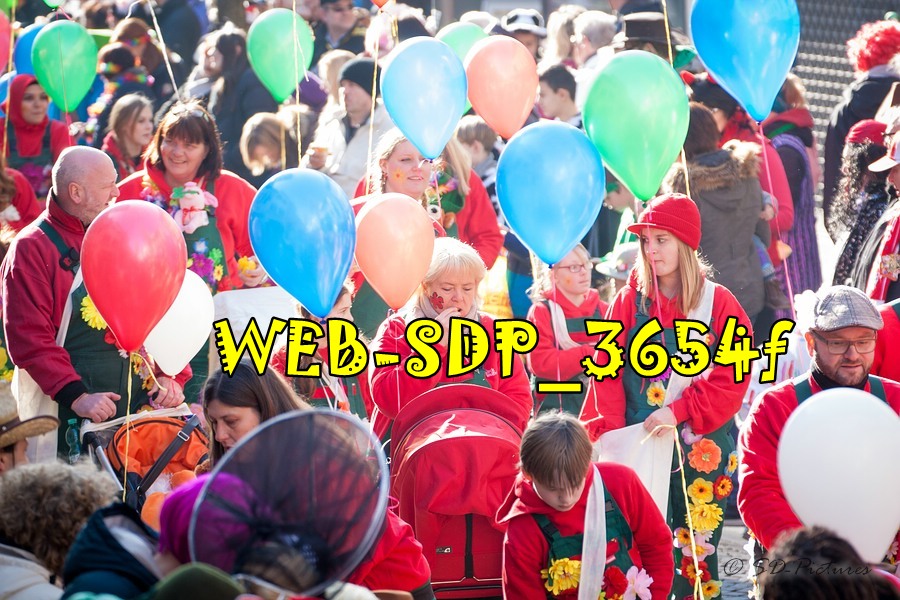 WEB SDP 3654f