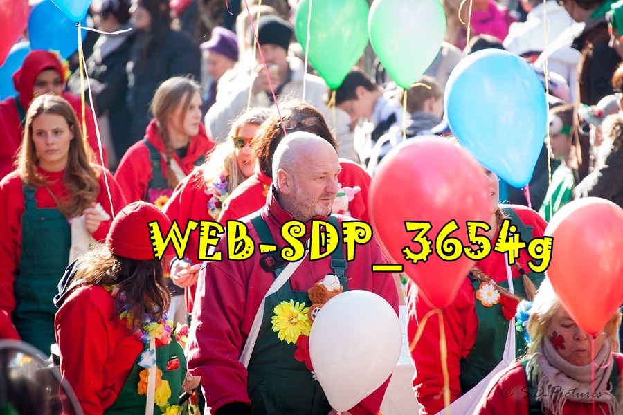 WEB SDP 3654g