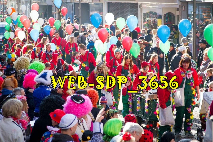 WEB SDP 3656