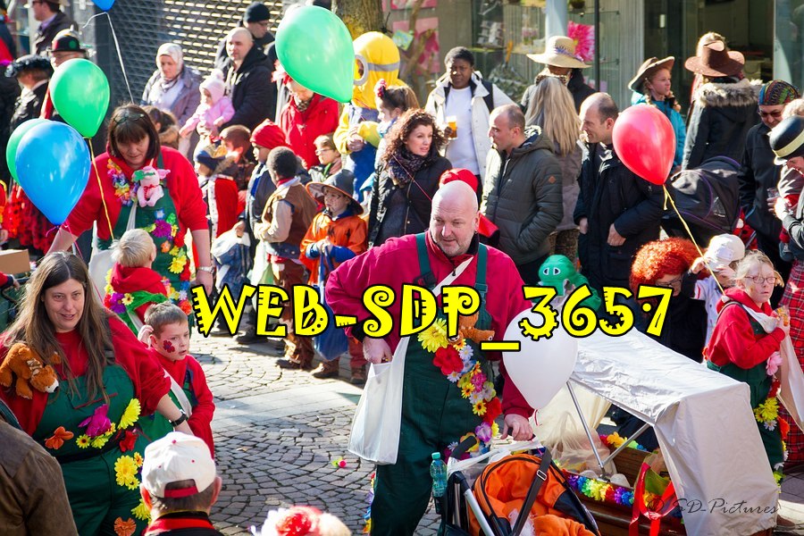 WEB SDP 3657