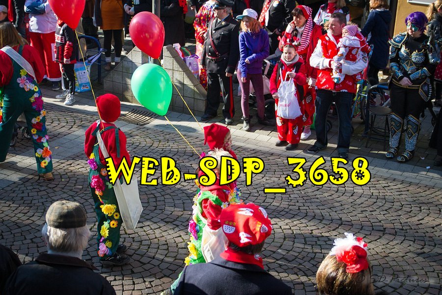 WEB SDP 3658