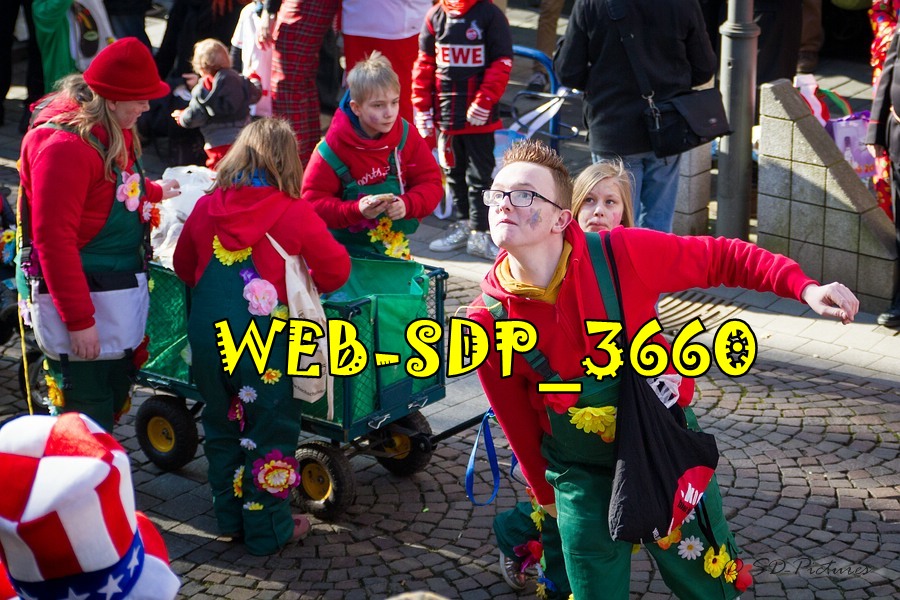 WEB SDP 3660