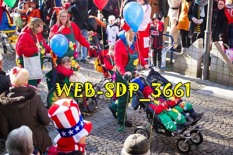 WEB SDP 3661