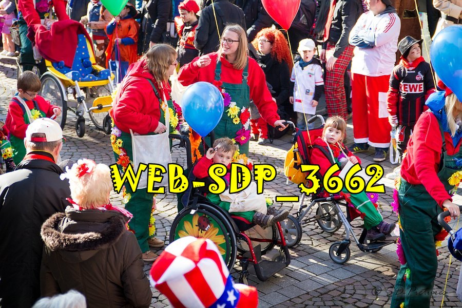 WEB SDP 3662