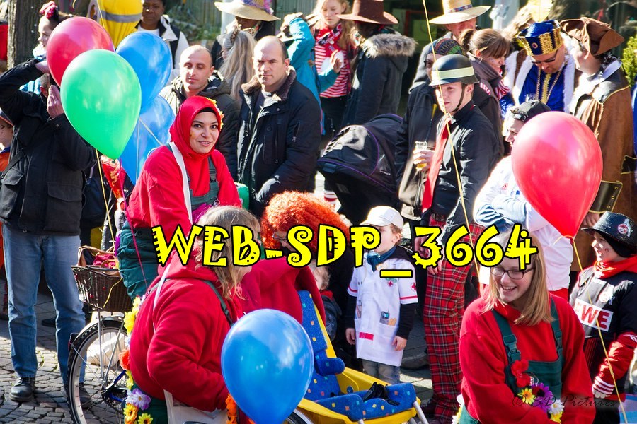 WEB SDP 3664