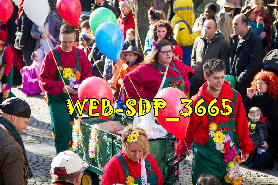 WEB SDP 3665
