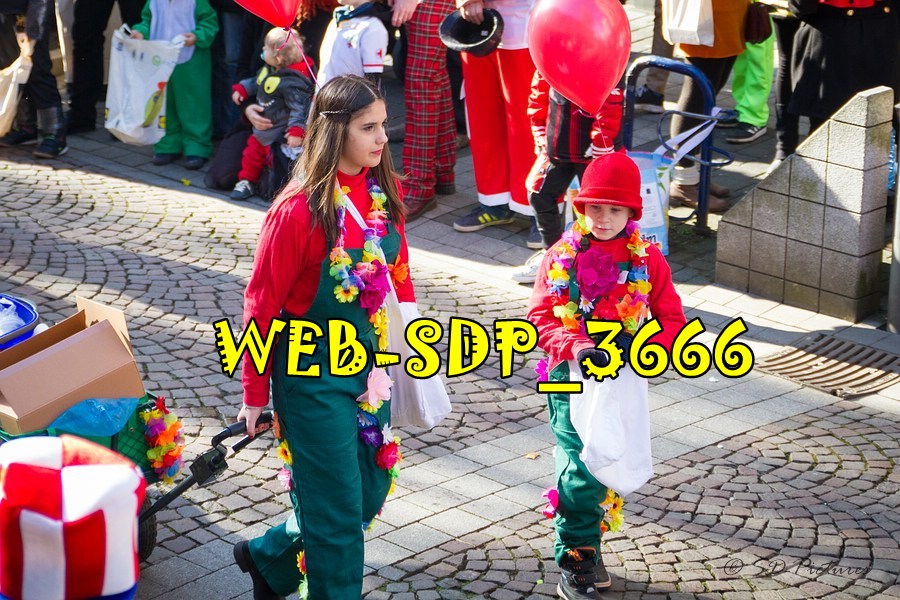 WEB SDP 3666