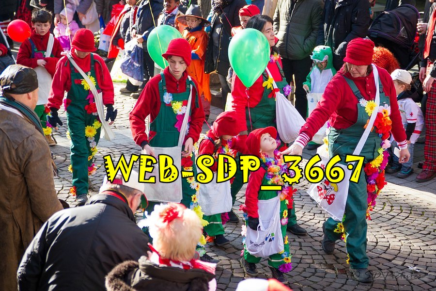 WEB SDP 3667
