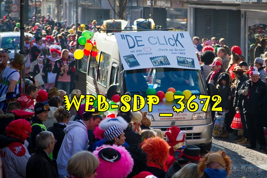 WEB SDP 3672